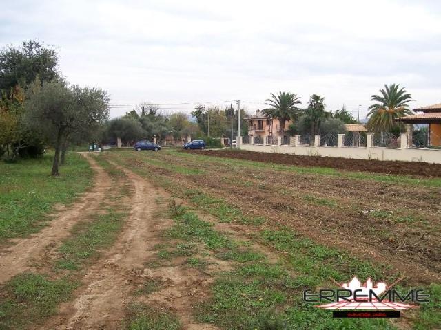 Cepagatti 1528mq