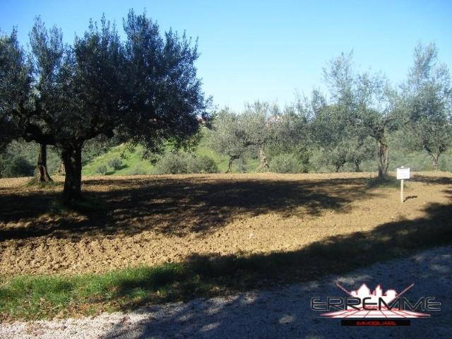Cepagatti 7980mq