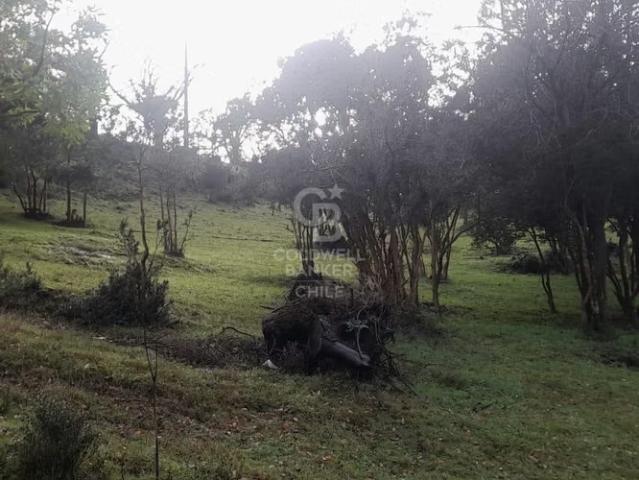 Cerca de la playa en Riñinahue. 0 dormitorios por 197000. 00 en Lago Ranco