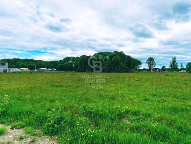Cercanas Centro de Frutillar | Con luz y agua. 0 dormitorios por 65000. 00 en Frutillar