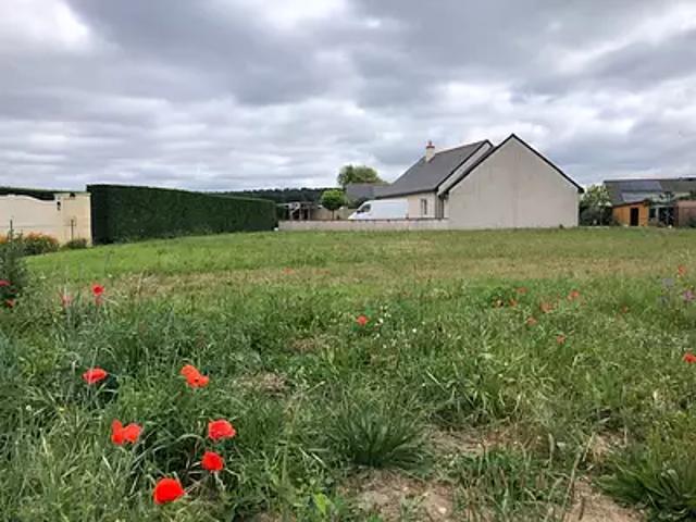 Cerelles 37390 Programme neuf maison neuf à vendre 4 pièces