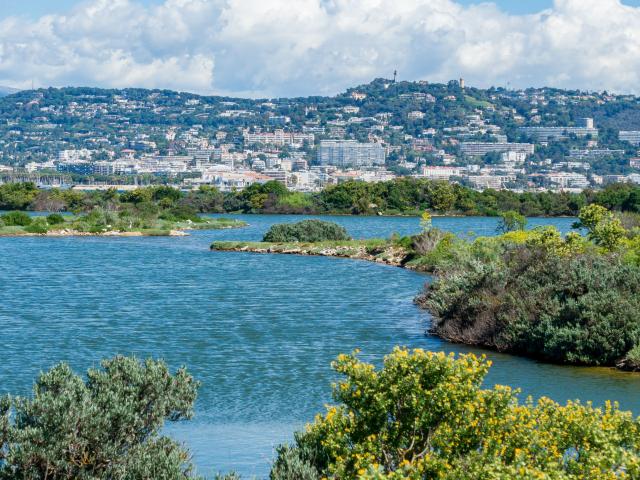 Cession dans une Chambre en Ehpad à Sainte Marguerite Les Aulnes CLARIANE
