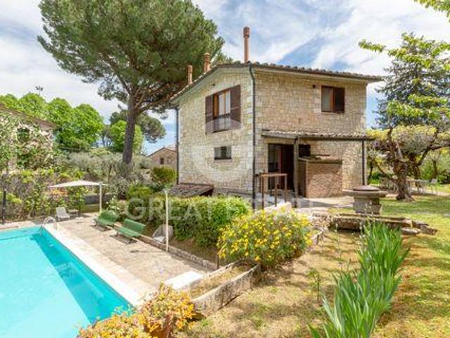 Cetona Siena 96322491