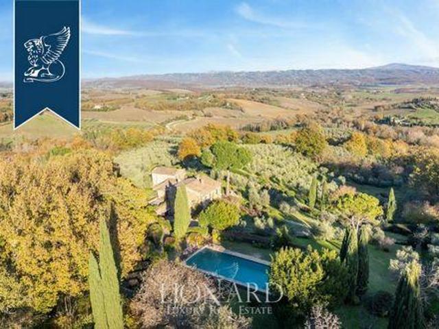 Cetona Siena 99355006