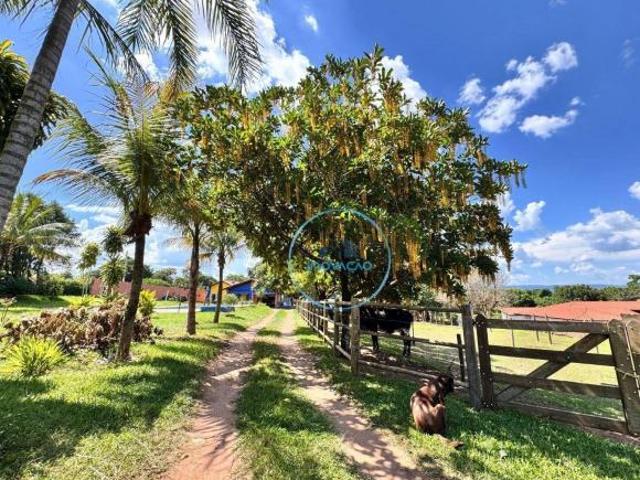 CH 349 Chácara com 3 dormitórios à venda, 5482 m² por R$ 1.100.000 Alpes das Águas São Pedro/S
