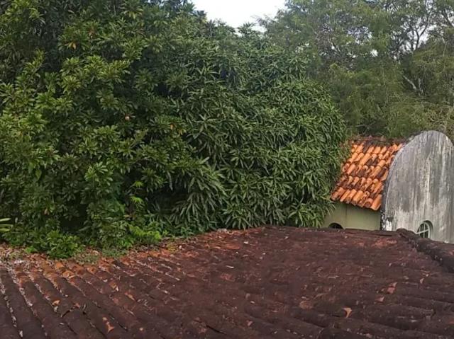 Chácara em Aldeia, casa com 5 dormitórios à venda, 5000 m² por R$ 500.000 Chã de Cruz Paudalho/P