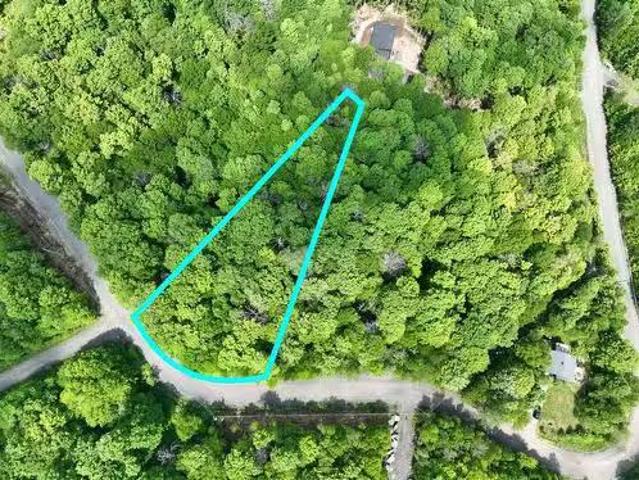 Ch. Des Faucons, Mont Blanc, QC, J0T 2G0 vacant land for sal.