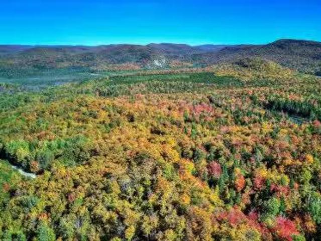Ch. Des Hiboux, Mont Blanc, QC, J0T 2G0 vacant land for sale.