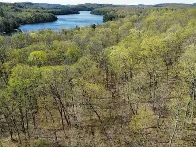Ch. Des Labradors, Harrington, QC, J8G 0E2 vacant land for s.