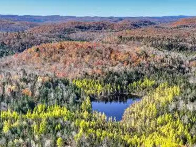 Ch. Des Monts, Chertsey, QC, J0K 3K0 vacant land for sale L.