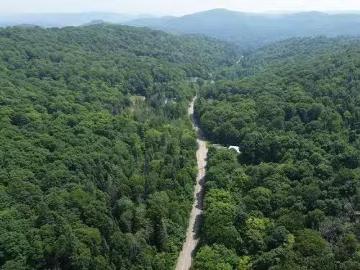Ch. Du Cerf, Mont Blanc, QC, J0T 2G0 vacant land for sale L.