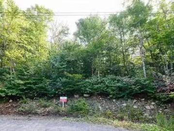 Ch. Du Lac Boeuf, Saint Donat, QC, J0T 2C0 vacant land for s.