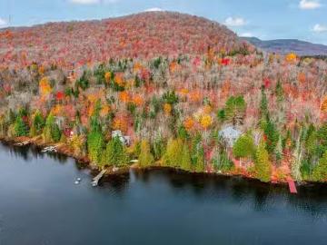 Ch. Du Lac Dufresne, Lantier, QC, J0T 1V0 vacant land for sa.