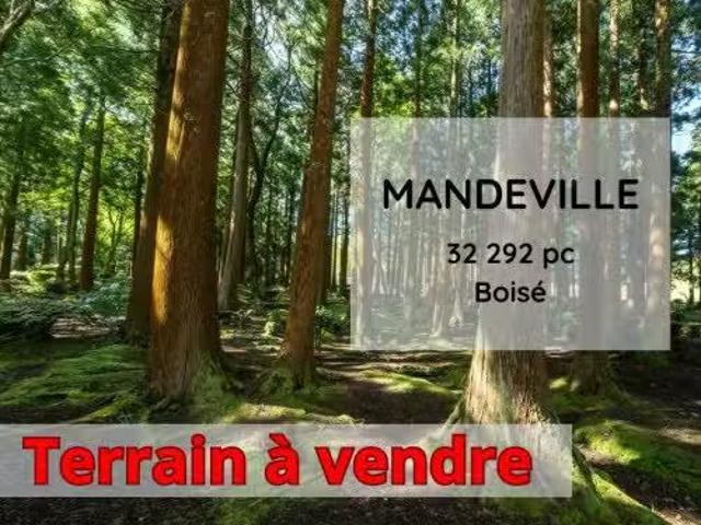 Ch. Du Rock, Mandeville, QC, J0K 1L0 vacant land for sale L.