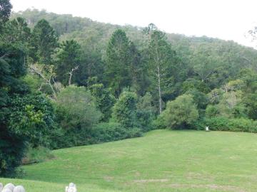 CHOICES, OPTIONS and ALTERNATIVES: Federation Charmer/Acreage with Income: Nth'n Rivers Region