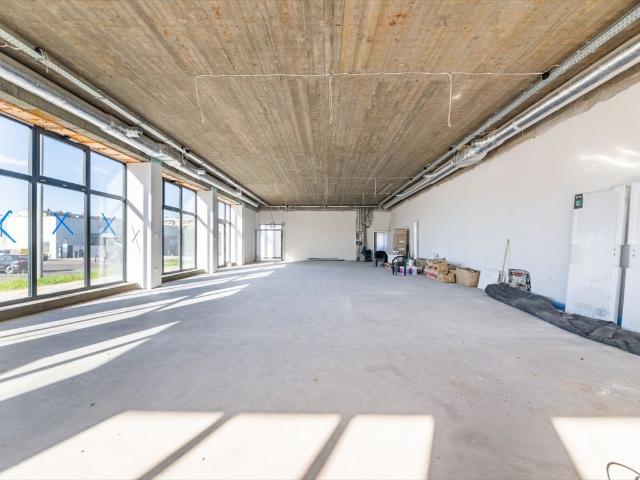 Chojnice, Obrońców Chojnic, 250 m2