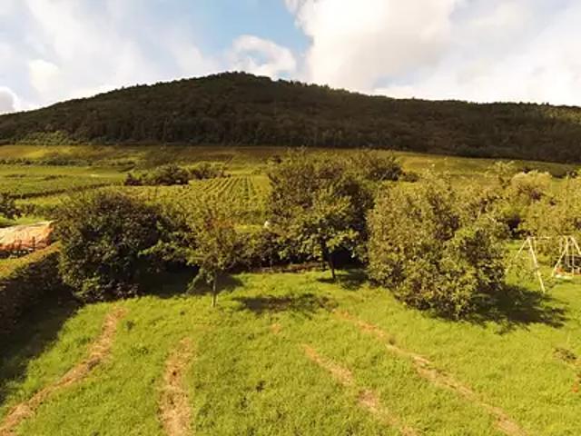 Châtenois 67730 Programme neuf maison neuf à vendre 8 pièces