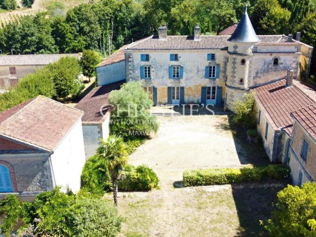 Chateau de caractère à rénover Vignoble Dépendances Jo. 900m² Saint Ciers de Canesse