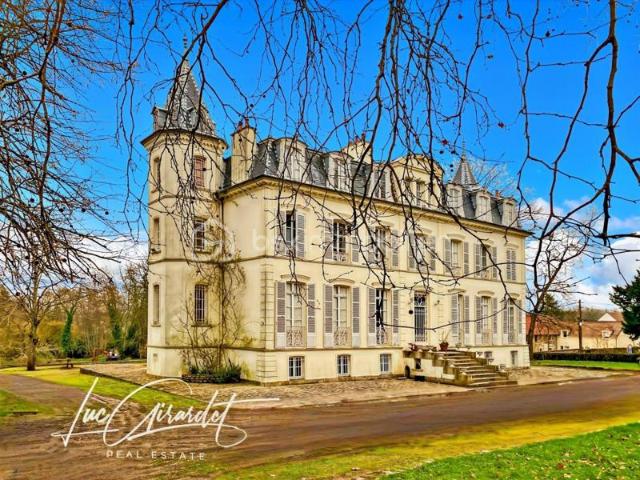 Château époque Napoléon III avec parc et dépendances Proche de Coulommiers 77120