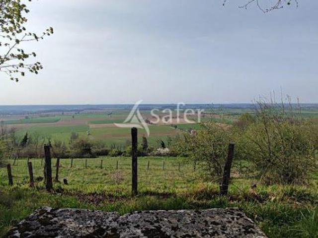 Château rénové du XVIIe siècle Saint Martin du Mont 650m² Saint Martin du Mont