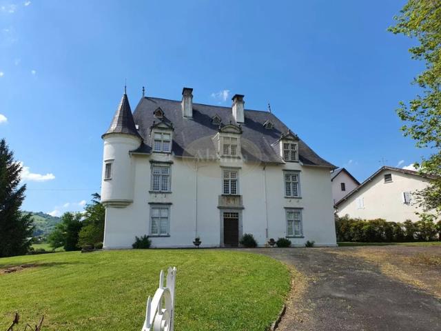 Château sur 7,9 hectares