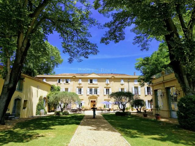 Château viticole majestueux avec activité dhébergement et oe. 1000m² Montpellier