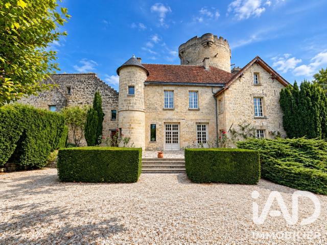 Château 17 pièces 950 m²