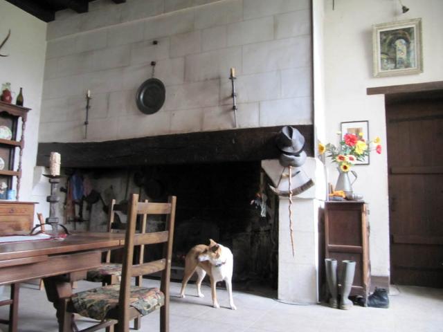 Châtellerault, à renover Monument Historique XIV XVos sur 4H. 610m² Lencloître