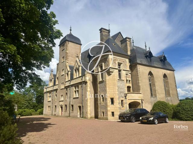 Châtillon En Bazois Bourgogne 2 Châteaux Mh avec jardin. 2163m² Châtillon en Bazois