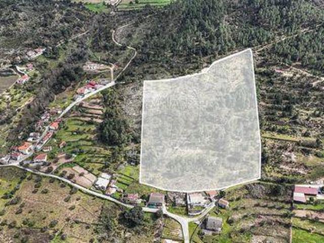 Chaves Vila Real 100020722
