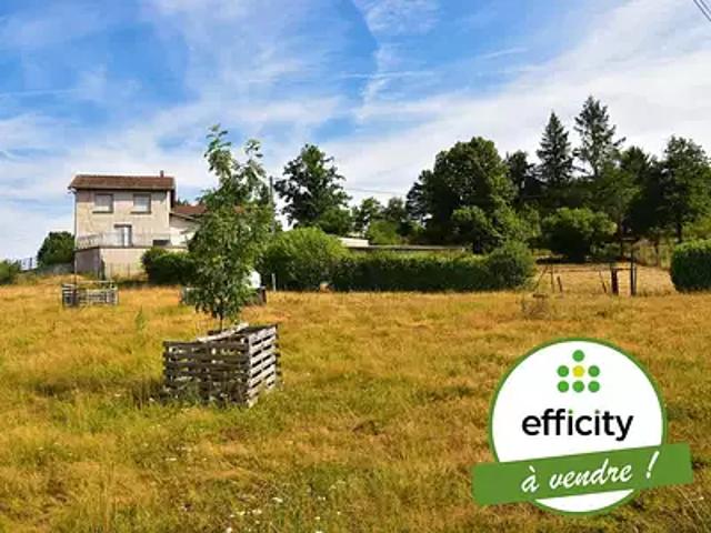 Chazelles sur Lyon 42140 Achat / Vente maison 3 pièces t3 jardin terrasse