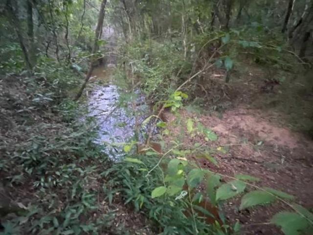 Chácara em Centro, Caldas/MG