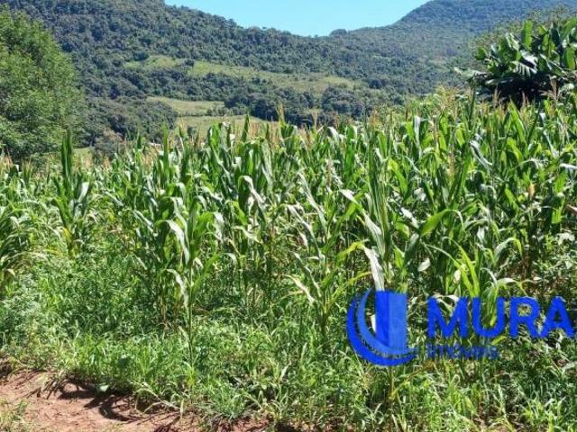 Chácara proximo a Vila Cristina