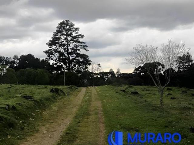 Chácara proximo a Vila Seca