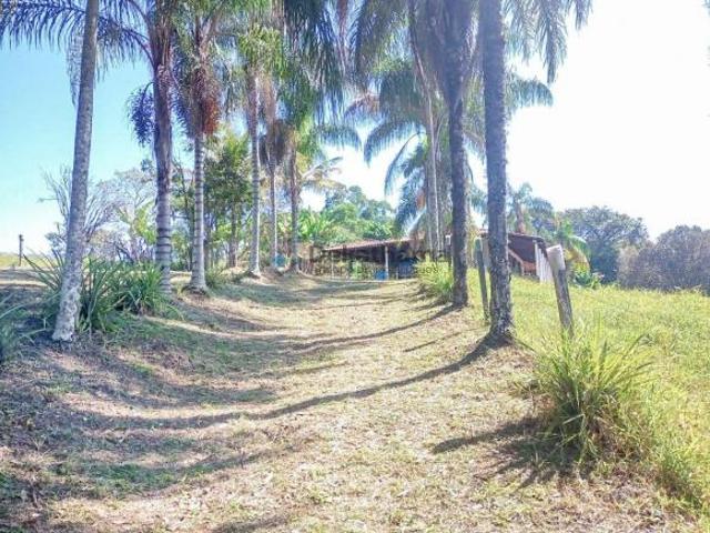 Chacara, Muzambo, Alterosa, MG