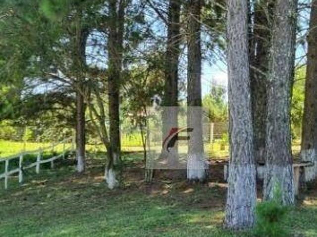 Chácara Mini Haras 3 dormitórios à venda, 6930 m² por R$ 1.550.000 Centro Santo Antônio do Caiua