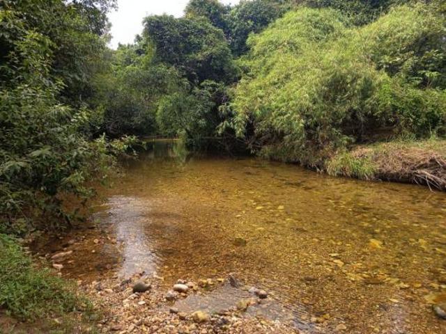 Chácara na Chapada dos Veadeiros | 6,7 hectares | Vista para a Serra