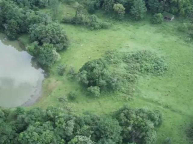 Chácara oportunidade de Ouro, bem localizada na estrada Cabeça D&apos anta, Bocaiúva do Sul com 09 nove