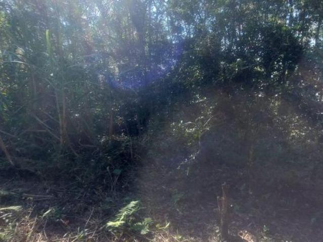 Chácara à Venda – 3.100 m² de Área Urbana | Próximo ao Condomínio Aruã – Mogi das Cruzes