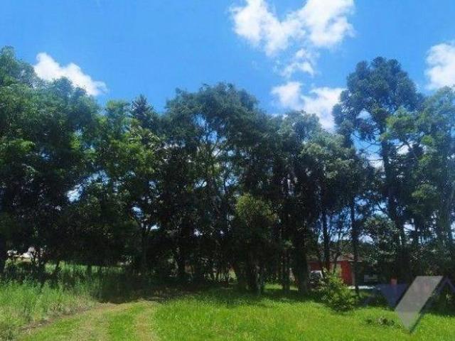 Chácara à venda, 10000 m² por R$ 1.800.000,00 Paris Guaraniaçu/PR
