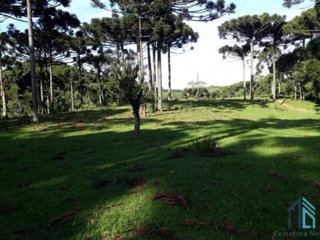 Chácara a venda, 142.134 M², Bugre, Balsa Nova PR