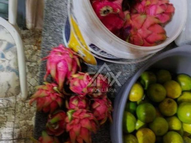 Chácara à venda, 1500 m² por R$ 202.000,00 Agua das flores Jataizinho/PR
