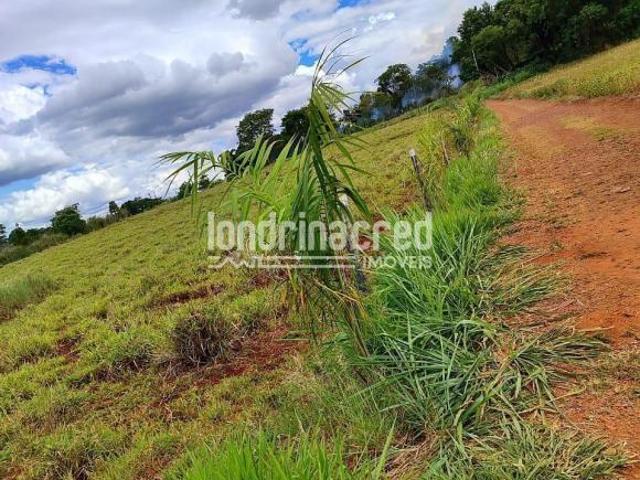 Chácara à venda 1500M², Zona Rural, Ibiporã PR