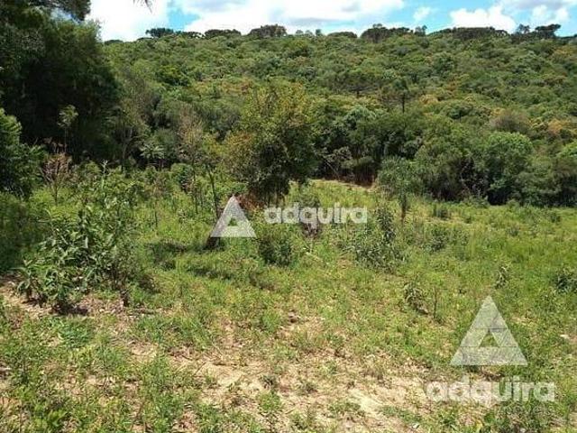 Chácara à venda 17545M², Centro, Palmeira PR