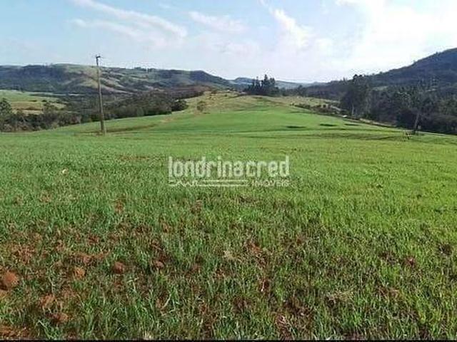 Chácara à venda 212960M², Zona Rural, Tamarana PR