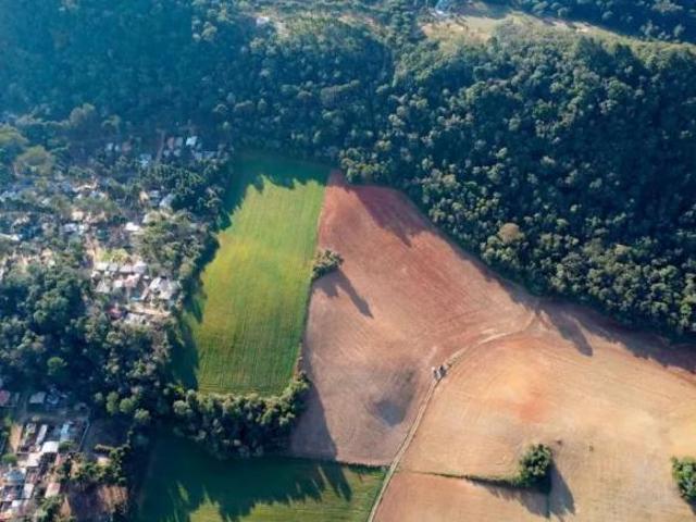 Chácara à venda 29.040 m² em Campo Magro