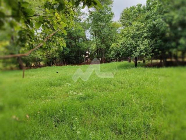Chácara à venda, 2.6 hectares, com casa e barracão, Zona Rural, MISSAL PR
