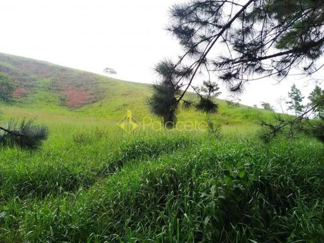 Chácara à venda 30000M², Zona Rural, Silveiras SP
