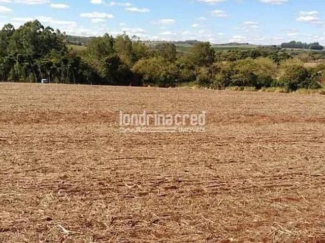 Chácara à venda 3000M², Centro, Cornélio Procópio PR