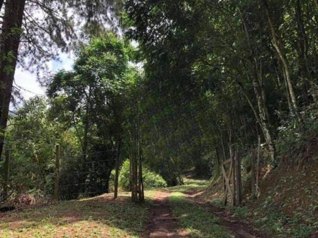 Chácara à venda, 34905 m² por R$ 470.000,00 Centro Rio Grande da Serra/SP